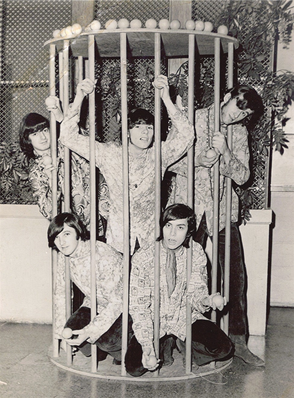 The Tangerine Zoo Alchetron, The Free Social Encyclopedia